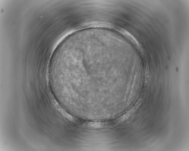 X0000087411182200705111844