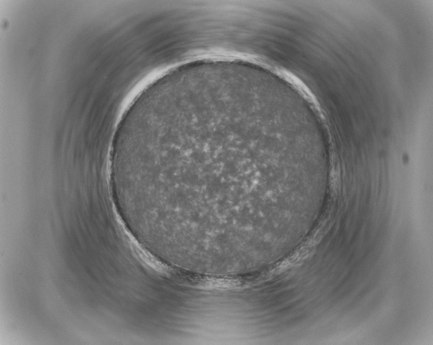 X0000087411183200705111844