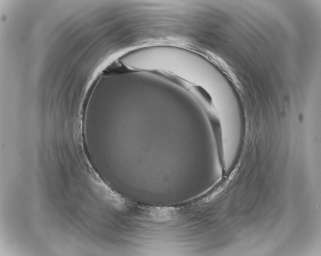 X0000087411184200705111843