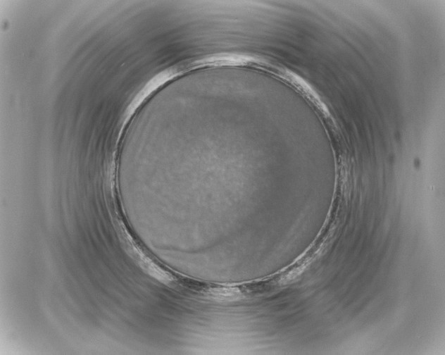 X0000087411186200705111843