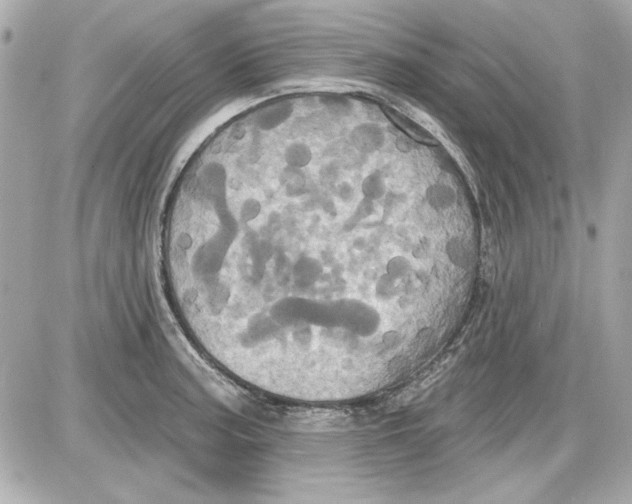 X0000087411187200705111843