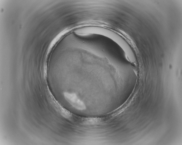 X0000087411188200705111843