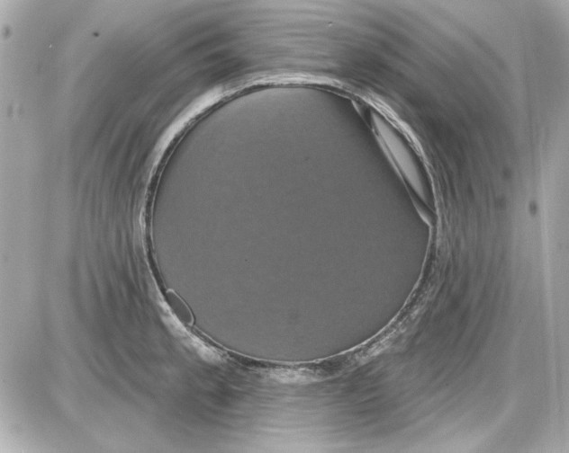 X0000087411189200705111843