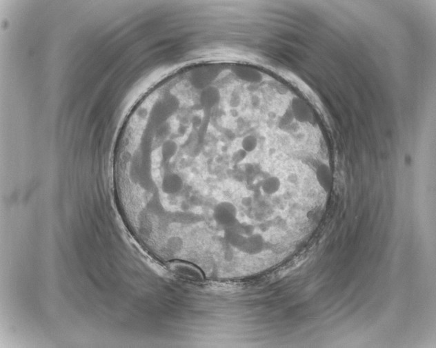 X0000087411191200705111843