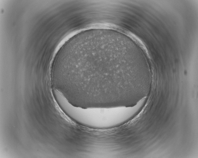 X0000087411192200705111843