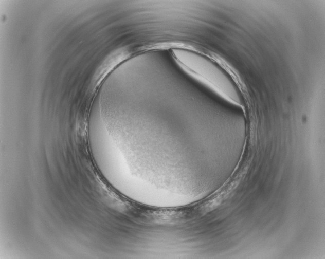 X0000087411193200705111843