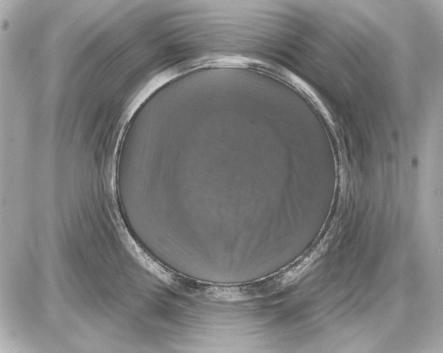 X0000087411194200705111843