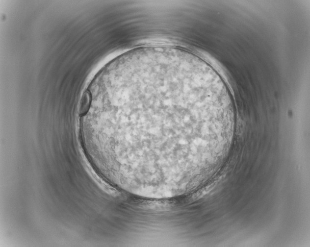 X0000087411195200705111843