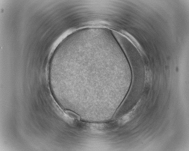 X0000087411196200705111843