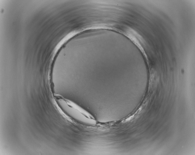 X0000087411197200705111843