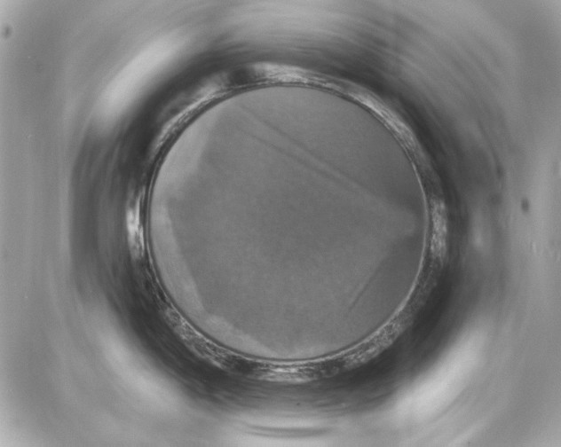 X0000087411198200705111843