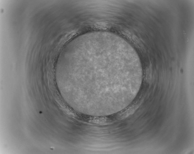 X0000087411201200705111842