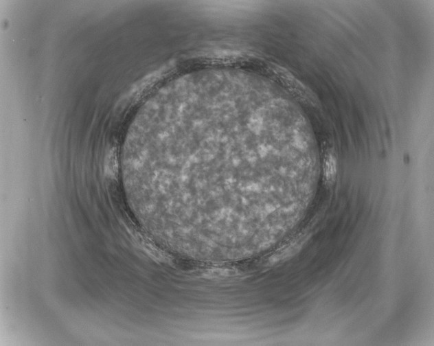 X0000087411204200705111843