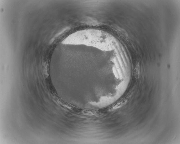 X0000087411205200705111843