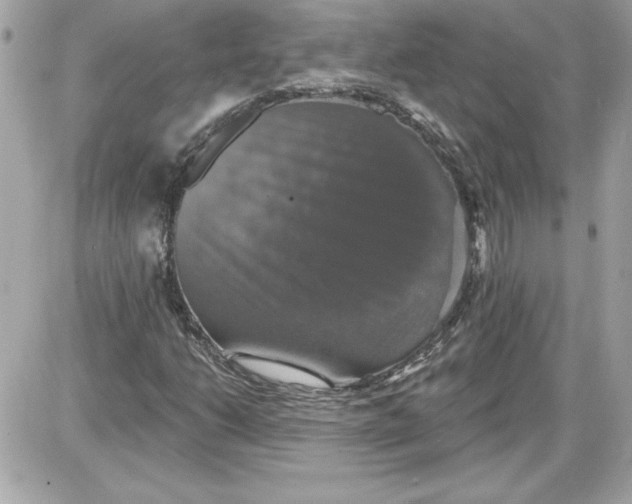 X0000087411206200705111843