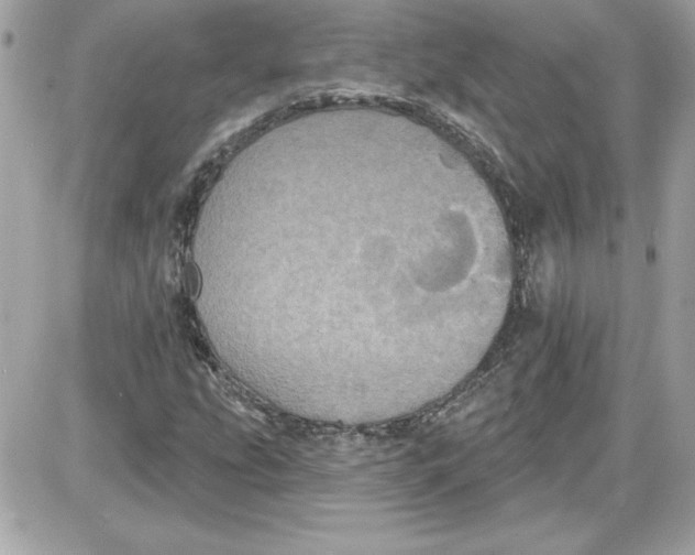 X0000087411207200705111843