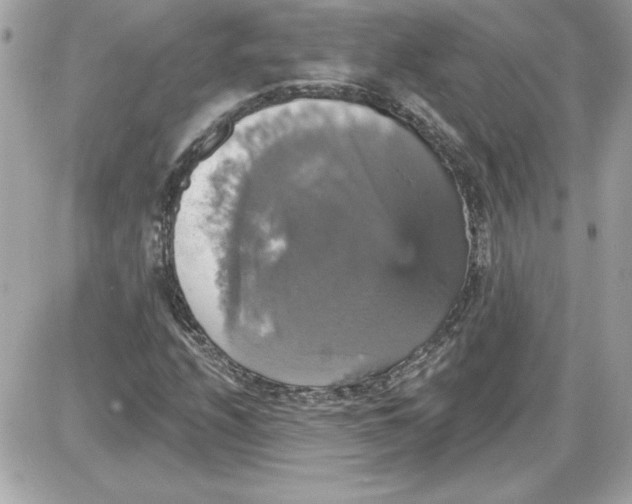 X0000087411208200705111843