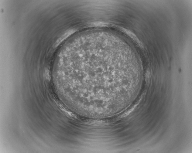 X0000087411209200705111843