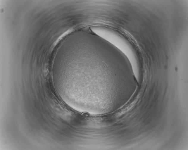 X0000087411210200705111843