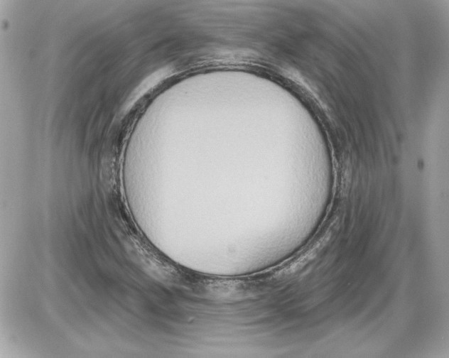 X0000087411211200705111843