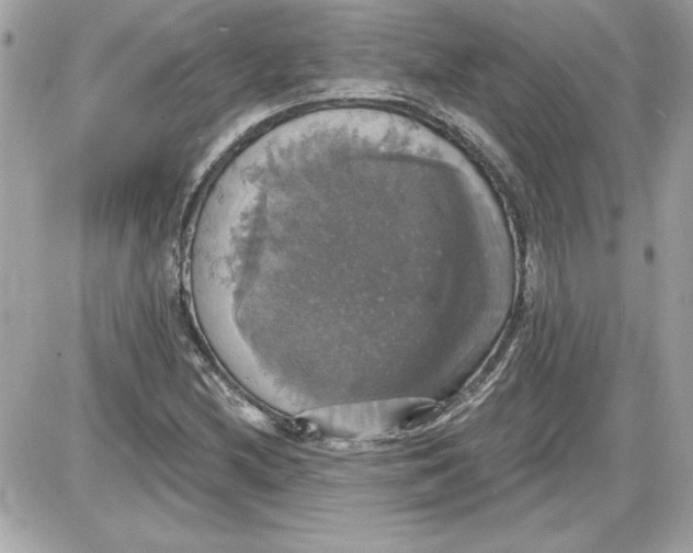 X0000087411212200705111843