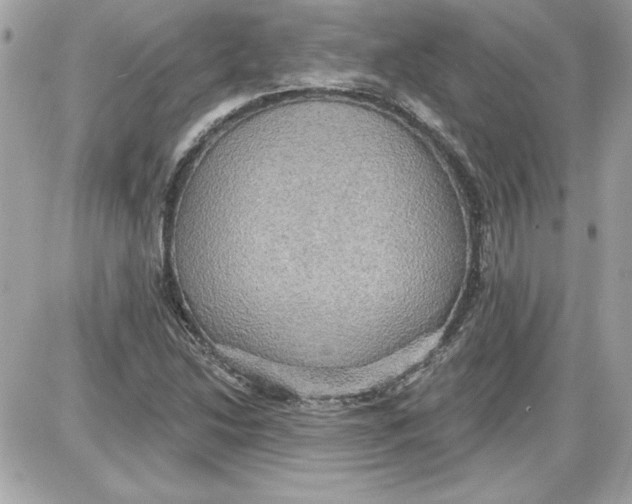 X0000087411214200705111843