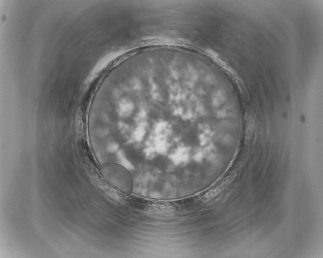 X0000087411215200705111843