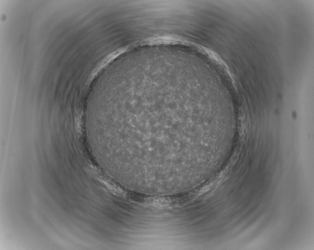 X0000087411217200705111843