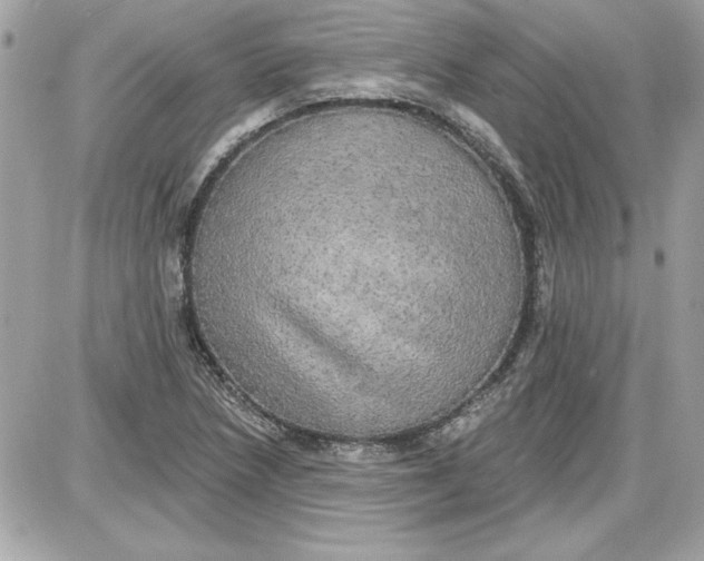 X0000087411218200705111843