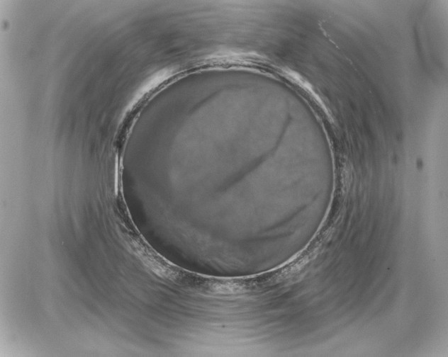 X0000087411219200705111843