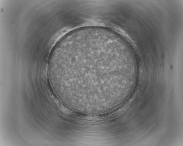 X0000087411220200705111843