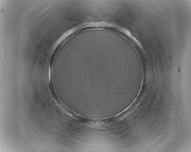 X0000087411221200705111843