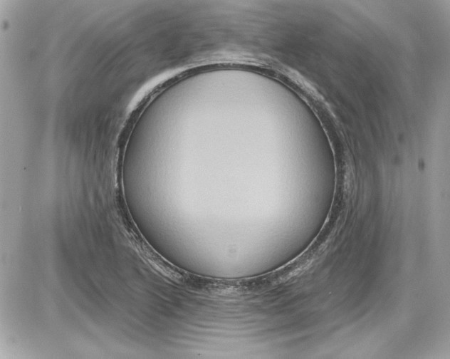 X0000087411222200705111843