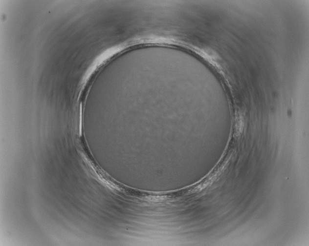 X0000087411223200705111843