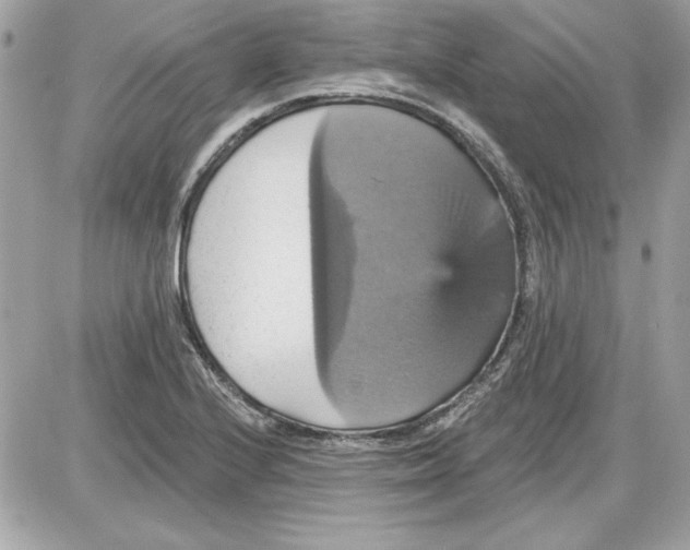 X0000087411224200705111843