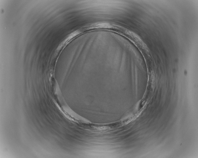 X0000087411225200705111843