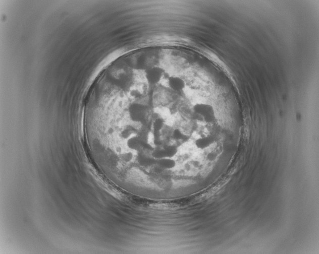 X0000087411227200705111843