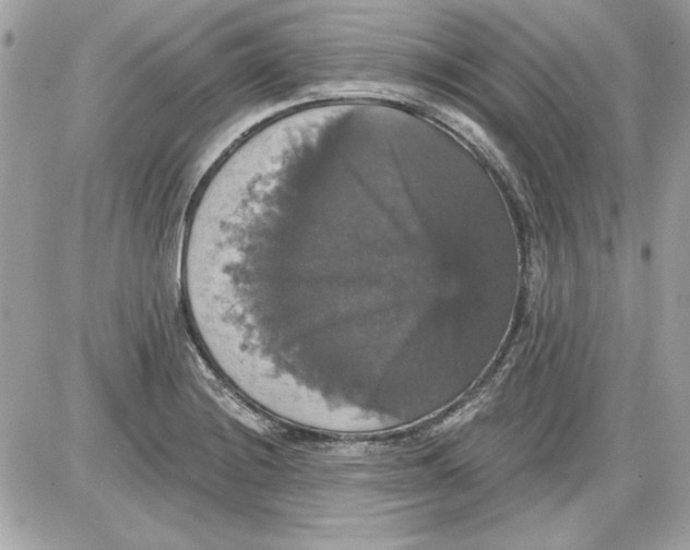 X0000087411228200705111843