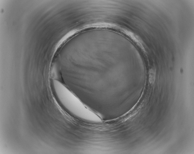 X0000087411229200705111843