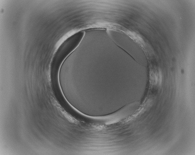 X0000087411230200705111843