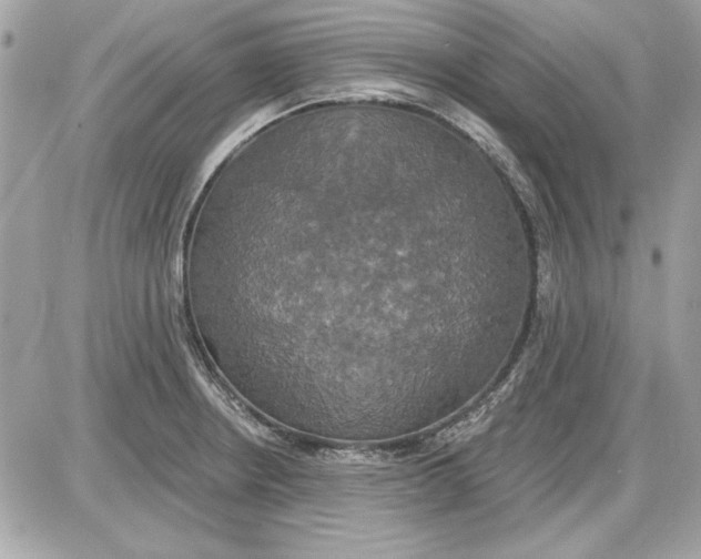 X0000087411234200705111843