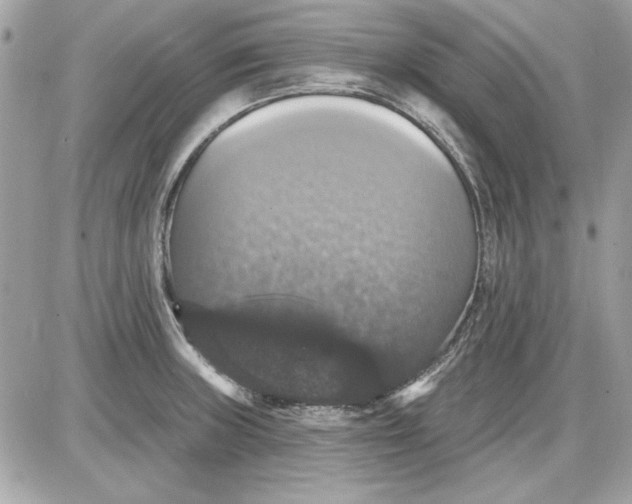 X0000087411235200705111843