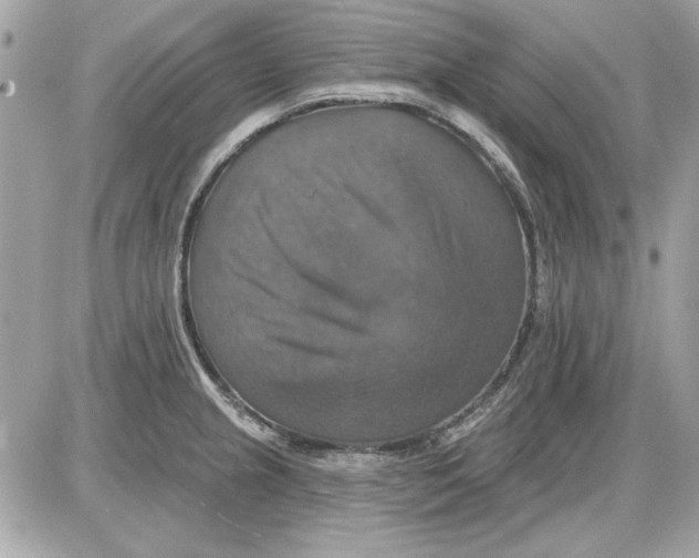 X0000087411237200705111843