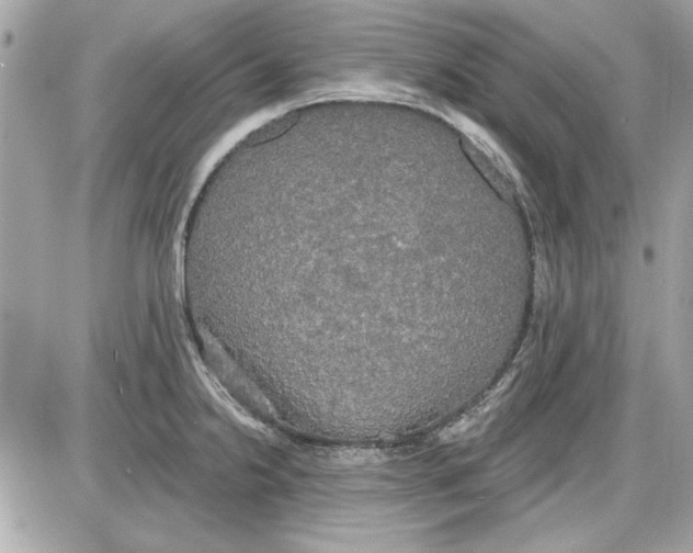 X0000087411238200705111843