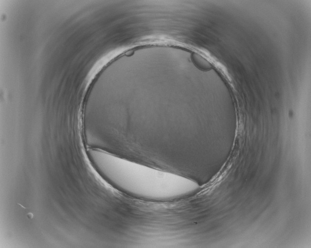 X0000087411239200705111843