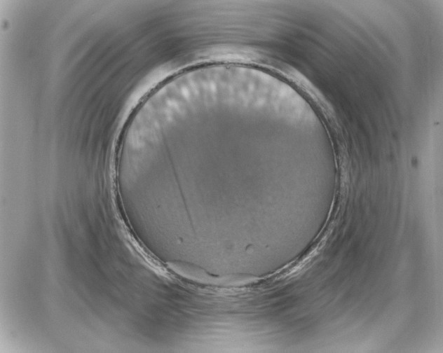 X0000087411240200705111843