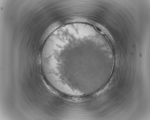 X0000087411241200705111843