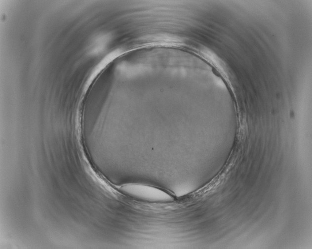 X0000087411243200705111843