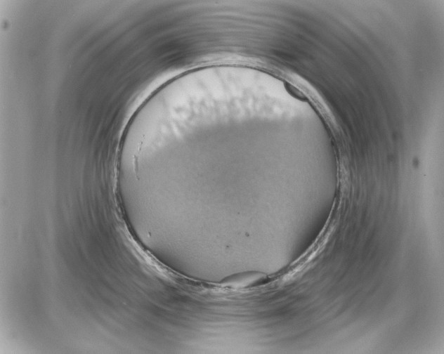 X0000087411244200705111843