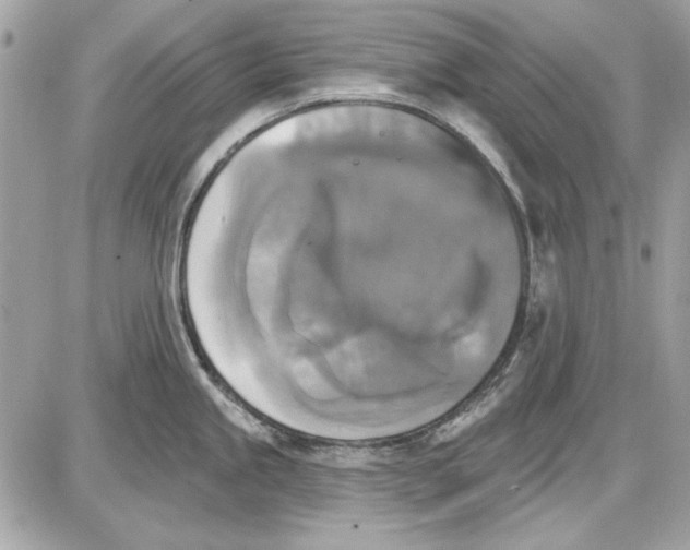 X0000087411245200705111843